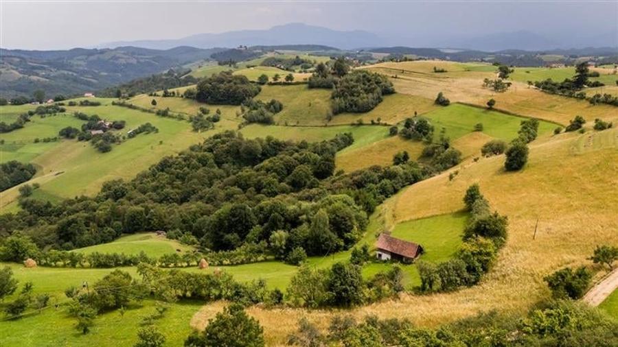 Proprietate + teren 10.400 mp incantoare pozitionare, Poiana Marului, Brasov - 5