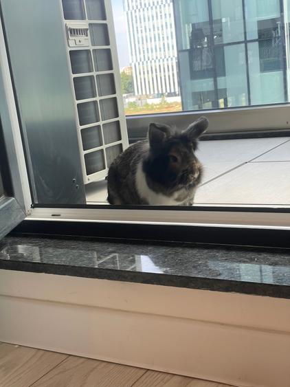 Novum Politehnica Iuliu Maniu | 2Min Walk Poli Metro | 600EUR+VAT | MS077-Poli - 31