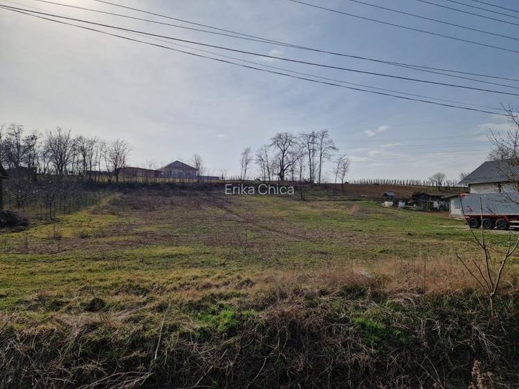 Teren - Roman  -Trifesti