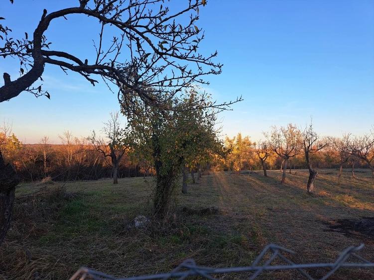 Casa batraneasca renovata complet de vanzare - 5