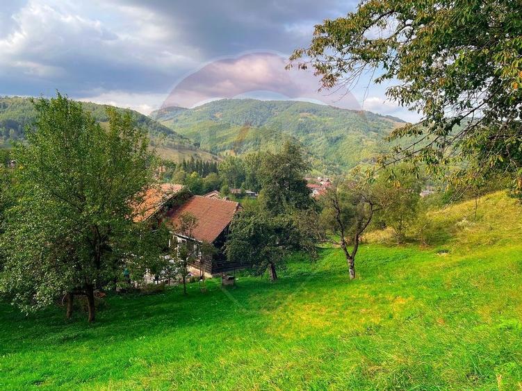 Teren 6,135mp Moieciu de Jos / Strada Principala - 12