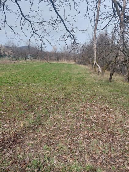 Teren intravilan - 1