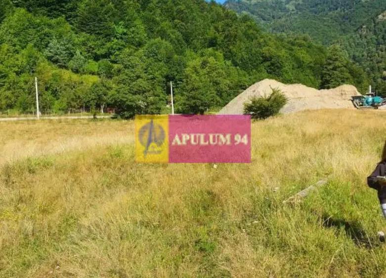 Teren Jude?ul Valcea - Brezoi, Valea lui Stan - 1