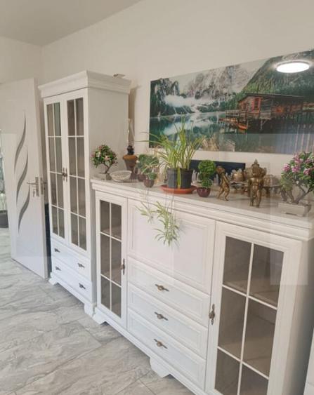 Apartament 2 camere Dambovita - 13