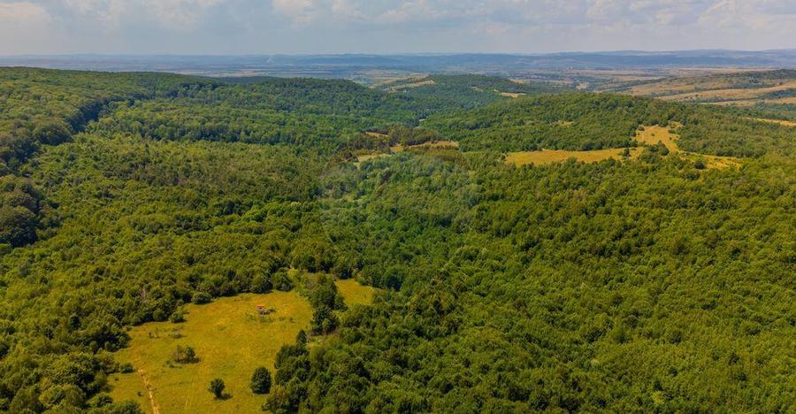 COMISION 0% Teren Grid/Inima Naturii/ Oportunitate de inv... - 7