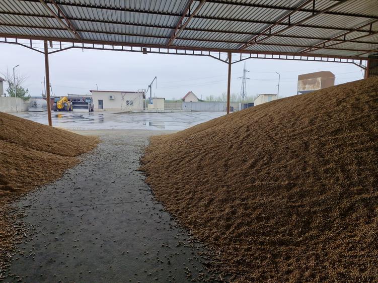 EXCLUSIVITATE! Afacere - Depozit cereale - Lumina-380.000 euro (Cod E8) - 18