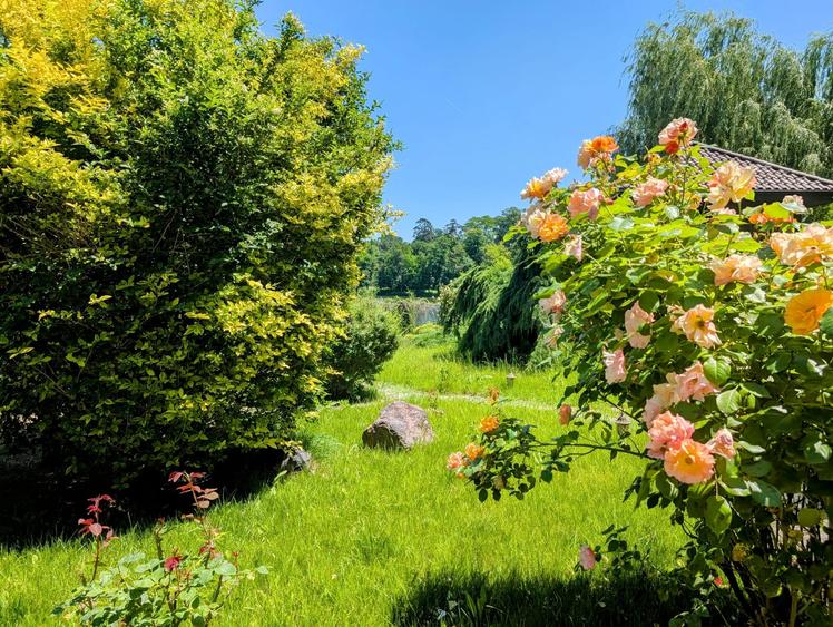 Mogosoaia,vila robusta cu vedere spectaculoasa catre lac,palat,parc,1750mp teren - 10