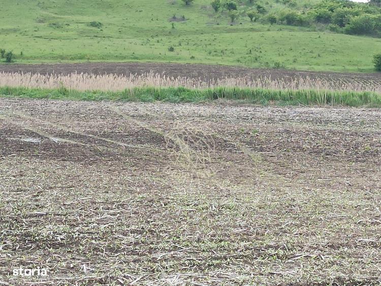 Teren intravilan 1800 mp cu utilitati-ideal casa P+2E-Sarata - 3