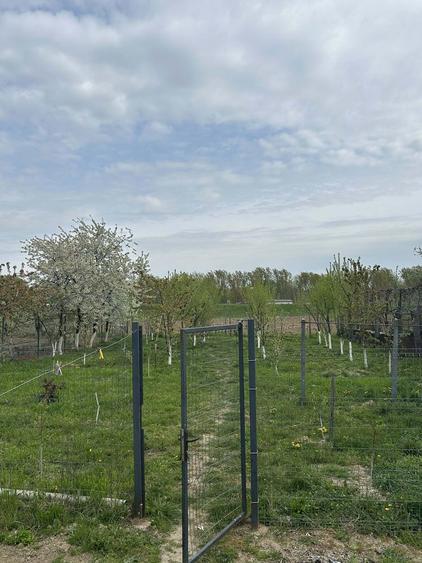 Casa de vanzare in Paulesti - 3