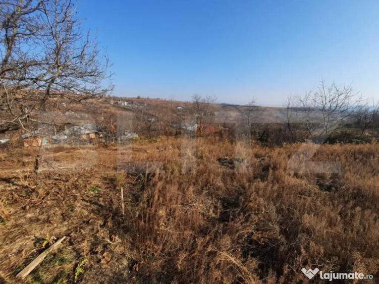 Teren 4990 mp intravilan, Tomesti- Chicerea - 1