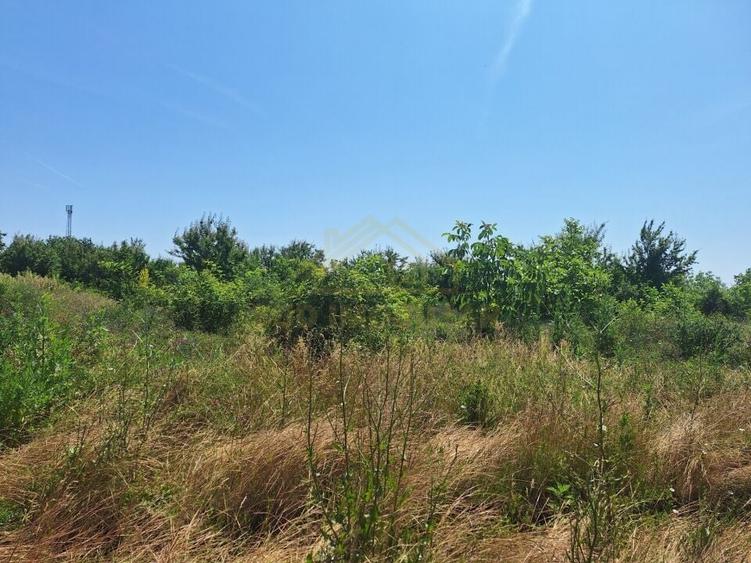 TEREN INTRAVILAN-748 MP-ADIACENT MIRASALU - 1