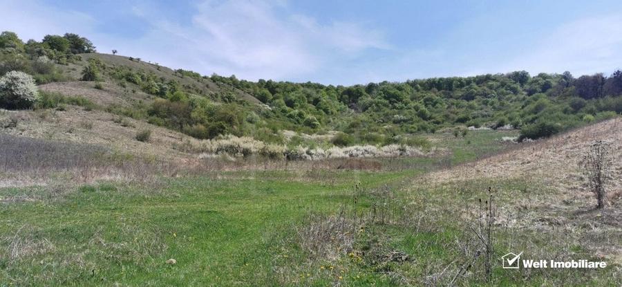 Teren autorizat pe Valea Garboului, Floresti limita Cluj, Intravilan-UL1, 707mp - 7