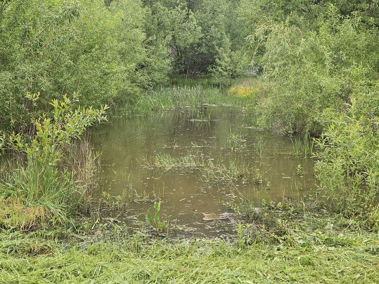 Vand Cabana din busteni ! - 4