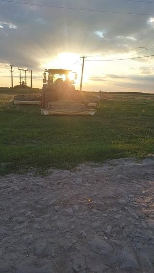 Ferma zootehnică funcțională, populată cu peste 200 capete bovine, aproape de Sâ - 10