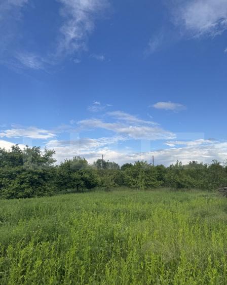 Teren intravilan, de vanzare, 800 mp, zona Simeria - 2