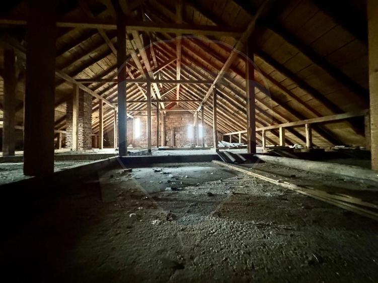 Casa de vis Valea Silistii - spatiu generos, natura si liniste deplina - 12