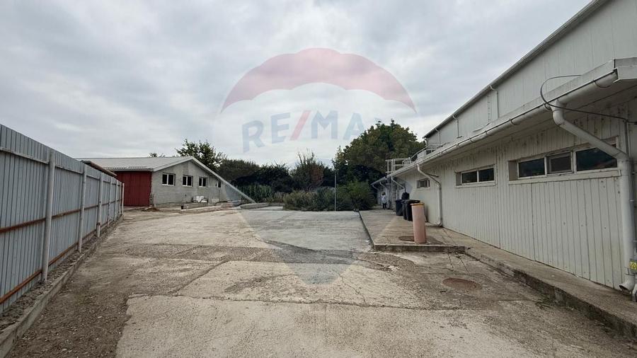 Spațiu industrial Braila - 3