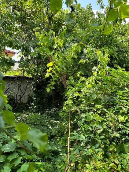 Otopeni central teren intravilan 970 mp langa viitor metrou, toate utilitatile - 5