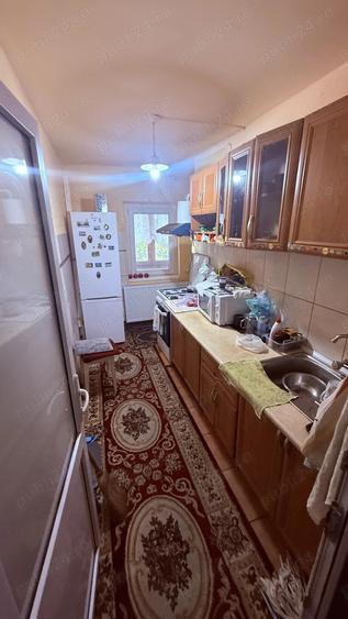 Buzias Timis apartament cu 1 camera de vanzare complet mobilat si izolat - 6