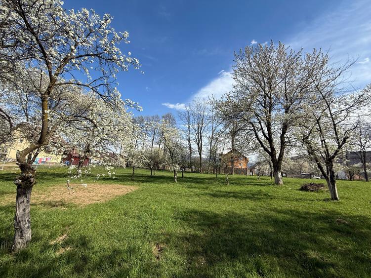 Teren Construcții intravilan de 1355 mp, în Bran