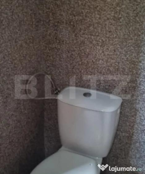 Casă cu 4 camere cu Teren 2580 Mp în Ceanu Mare