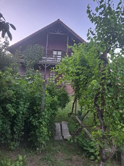 Casa si teren de vanzare  - 4