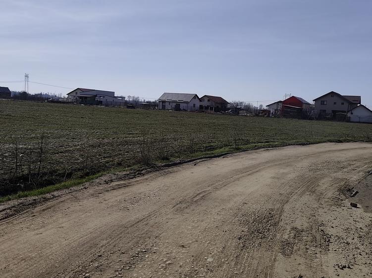 Teren Construcții extravilan de 23200 mp, în Săbăreni