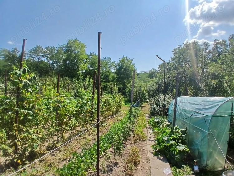 Casă cu 3 camere cu Teren 11000 Mp în Nadiș