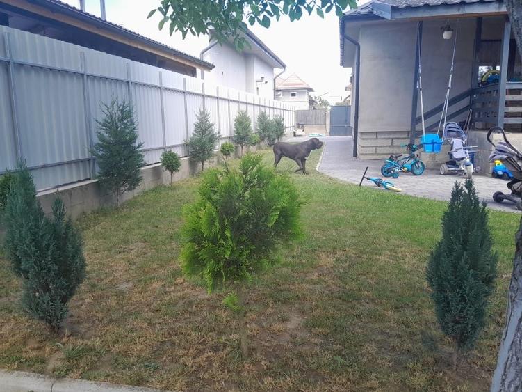 Casă cu 3 camere în Gherla