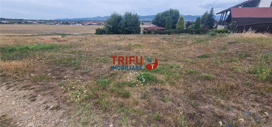 Teren Construcții intravilan de 669 mp, în Șeușa