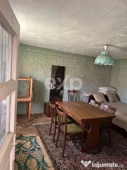 Casa la ?ara cu teren 3940 mp ?i livada zona lini? - 7