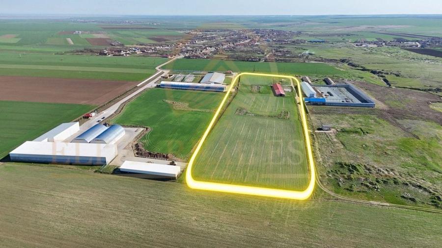 Tariverde - Ferma zootehnica functionala, 3 hectare teren intravilan! - 1