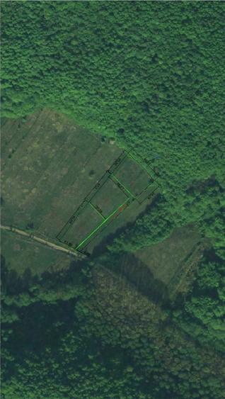 Teren de 6000 mp inconjurat de padure Stefanesti Arges - 5