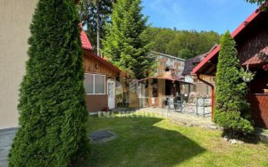 Casa Pensiune Busteni zona Camil Petrescu - 10