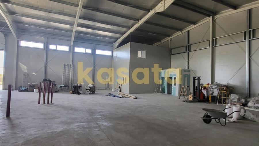 Spatiu de depozitare/productie de inchiriat - Zona de Vest - 5