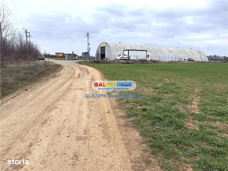Vanzare teren intravilan Baicoi zona Ciresi - 3