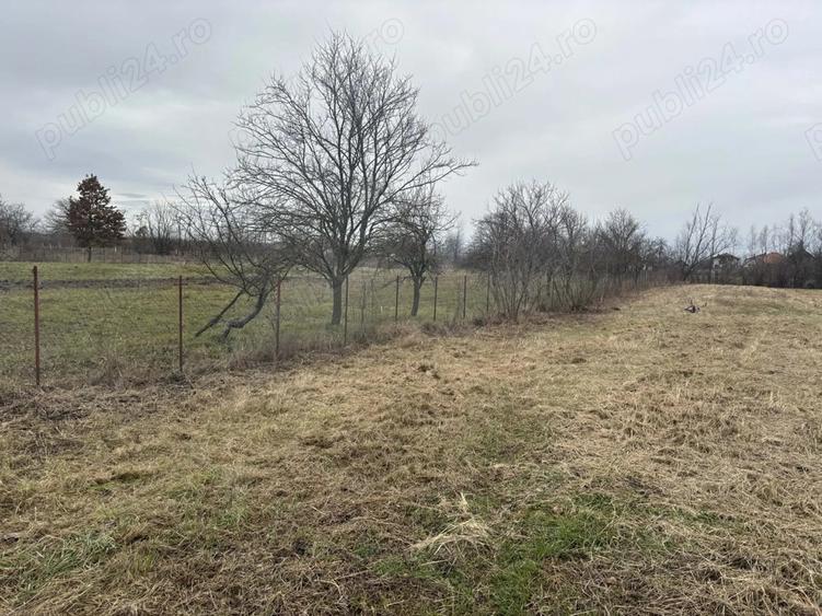 Vand casa 3 camere plus anexa - 2