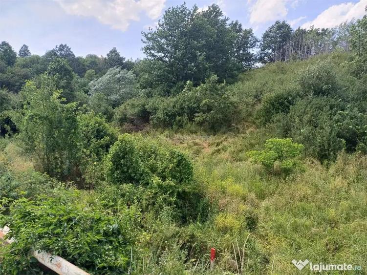 Resita, Terenuri Intravilane 2000 Mp., 20 Euro/Mp., Calea Ca - 4