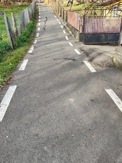 Casă cu 3 camere cu Teren 1538 Mp în Bezdead
