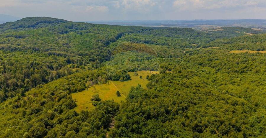 COMISION 0% Teren Grid/Inima Naturii/ Oportunitate de inv... - 11