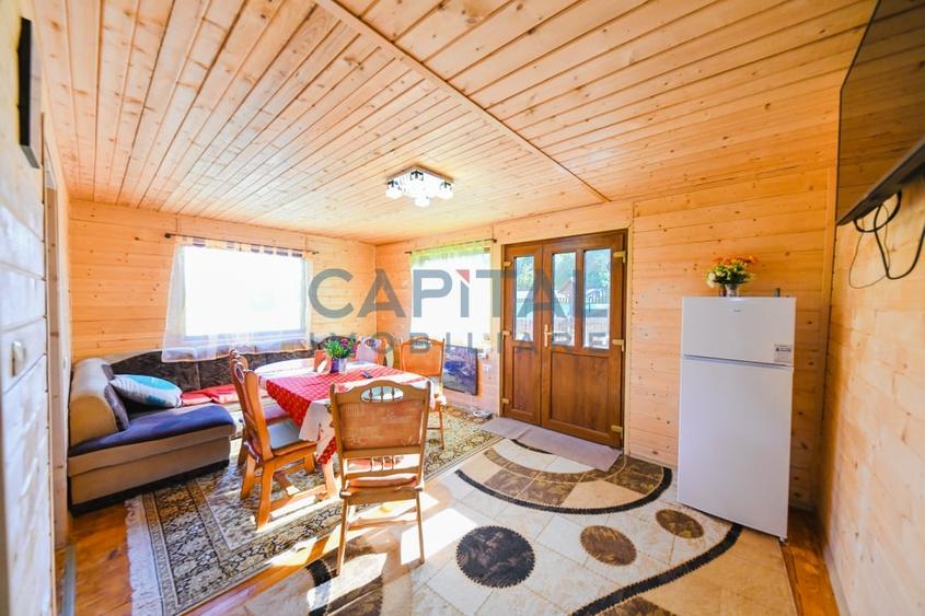 Casa cu teren de 3100 mp de vanzare in comuna Cornesti - 7