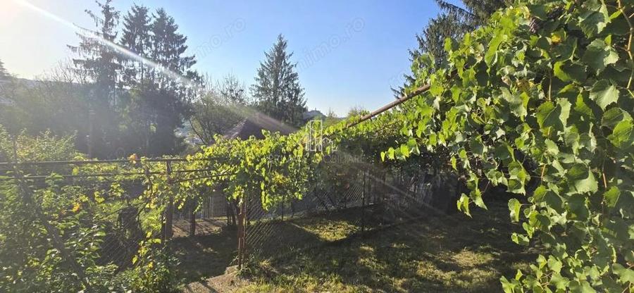 Casa de vanzare, zona centrala, Sighisoara, Mures - 9