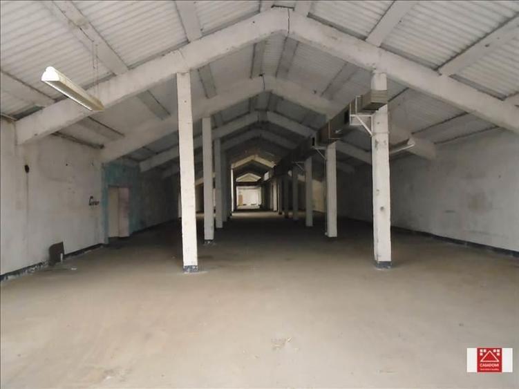 Hala de depozitare, Aradul Nou - 3