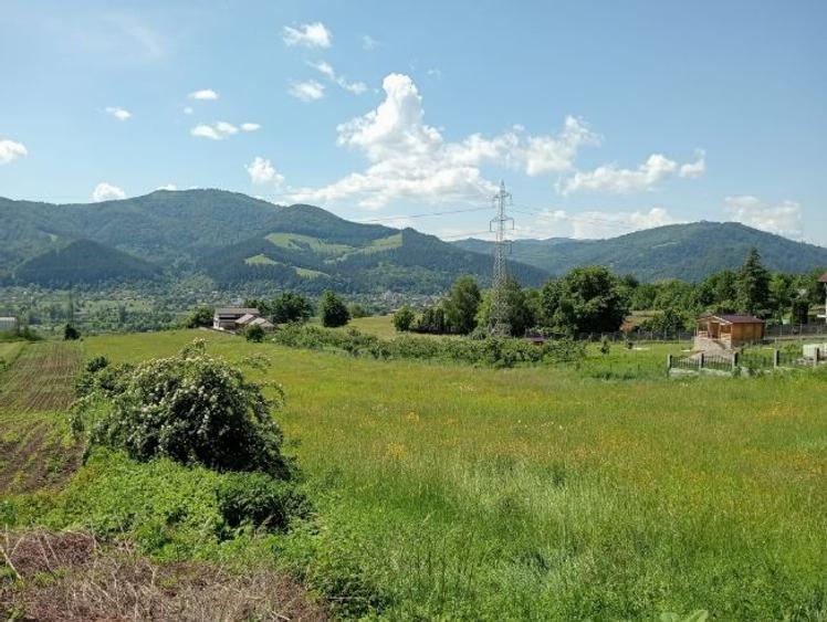 Pământ de vânzare: sat Viișoara, comuna Alexandru cel Bun (zona Gloduri drumul spre Bisericani) - 3