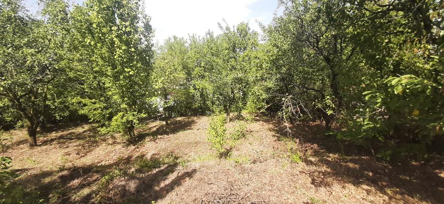 Oras Baicoi casa 90mp ,teren 1750 mp - 6