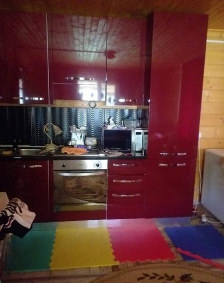 HORIA - 3 CAMERE ,SUPRAFATA 100 MP,TEREN 3000 MP CU DESCHIDE - 13