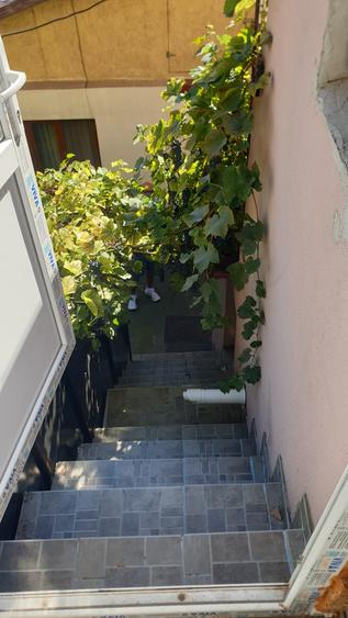 Casa Plevnei,Primaria Sector 6 - 13