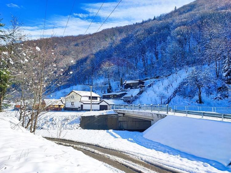 Teren intravilan în Tilișca, zonă montană superba! - 2