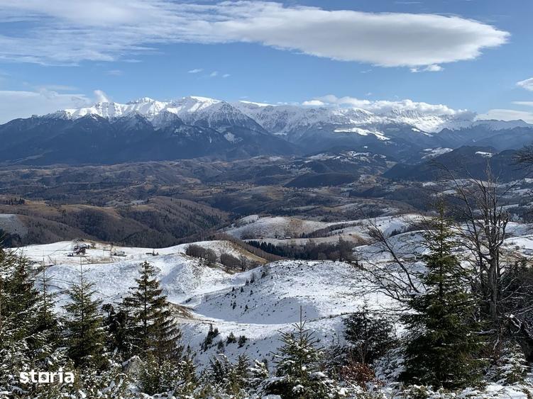 Teren de vanzare in mediul rural, acces asfaltat - 1