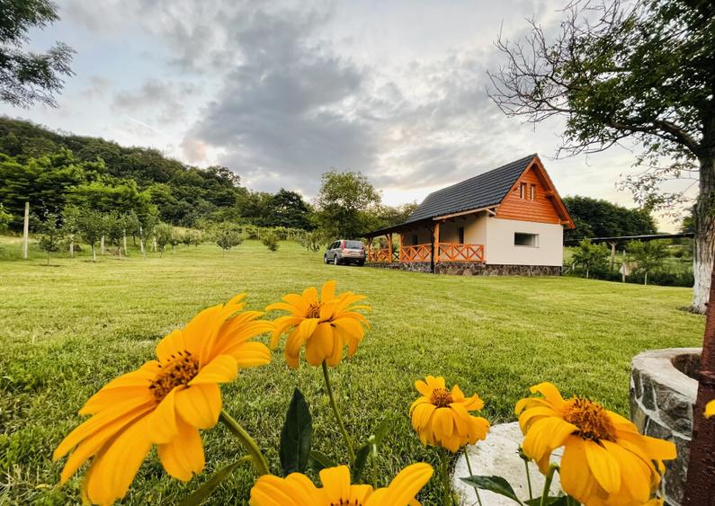 Cabana Pre? negociabil! Blaj, Alba - 1